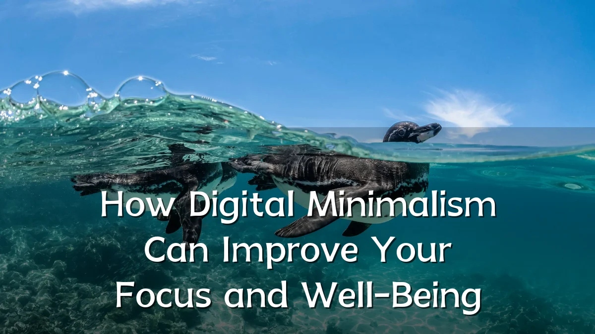 How Digital Minimalism Can Improve Your Focus and Well-Being