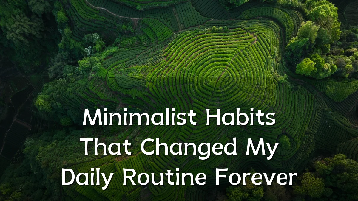 Minimalist Habits That Changed My Daily Routine Forever