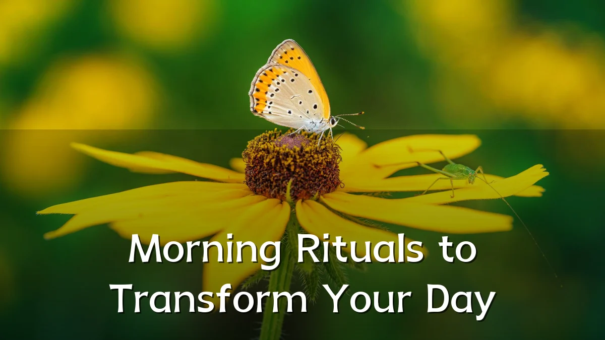 Morning Rituals to Transform Your Day