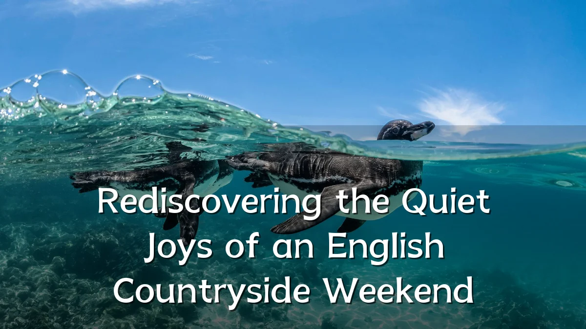 Rediscovering the Quiet Joys of an English Countryside Weekend