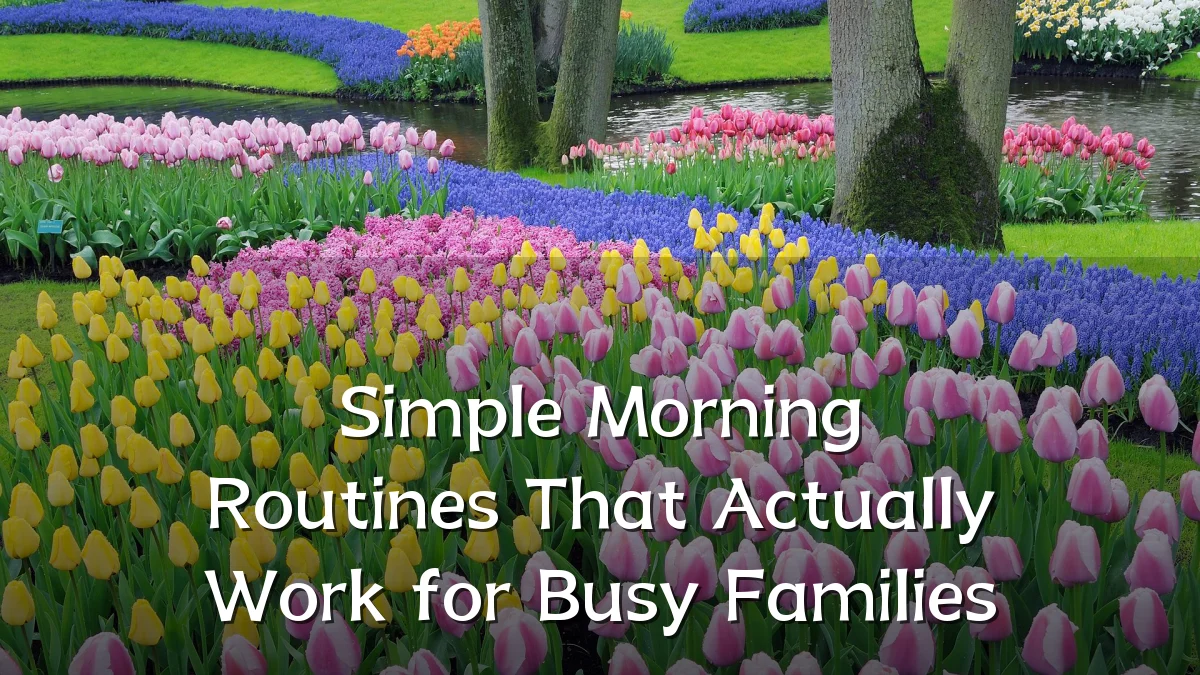 Simple Morning Routines That Actually Work for Busy Families