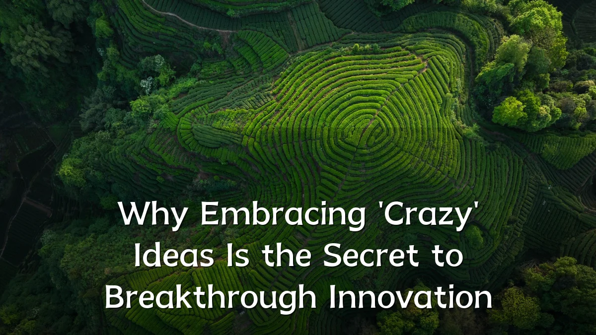 Why Embracing 'Crazy' Ideas Is the Secret to Breakthrough Innovation