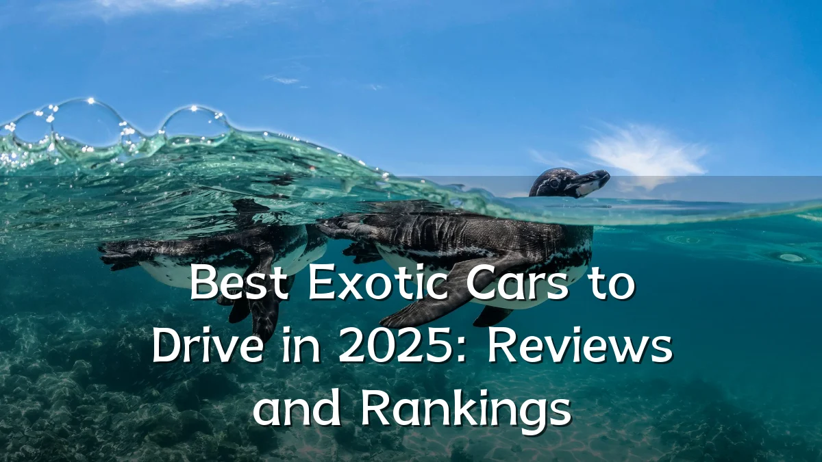 Best Exotic Cars to Drive in 2025: Reviews and Rankings