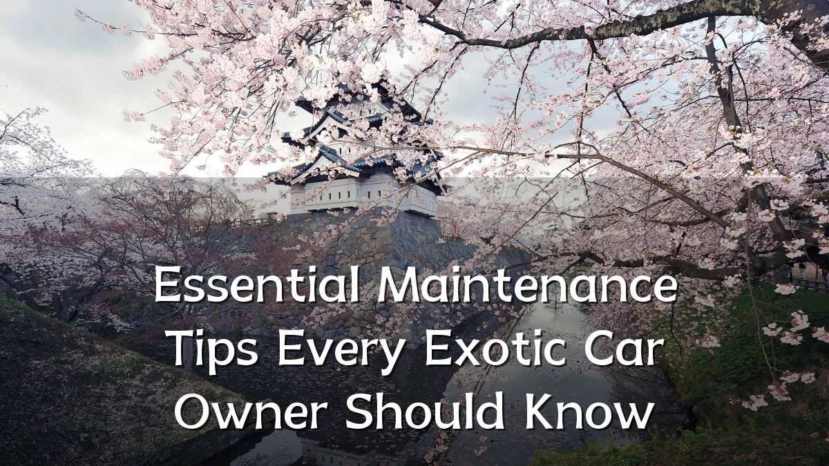 Essential Maintenance Tips Every Exotic Car Owner Should Know