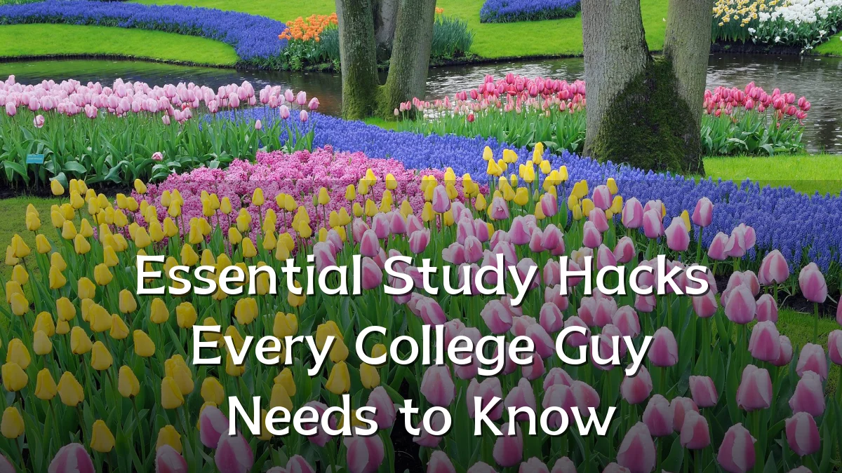 Essential Study Hacks Every College Guy Needs to Know