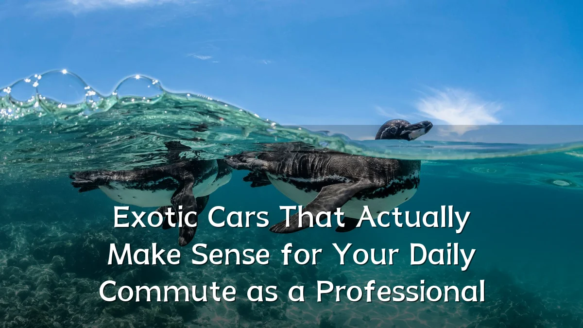 Exotic Cars That Actually Make Sense for Your Daily Commute as a Professional