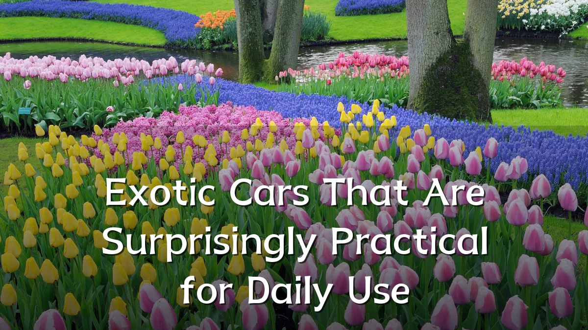 Exotic Cars That Are Surprisingly Practical for Daily Use