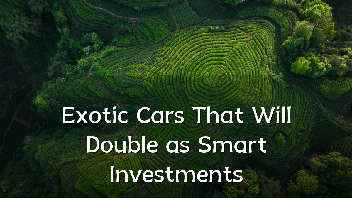 Exotic Cars That Will Double as Smart Investments