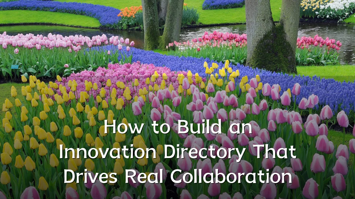 How to Build an Innovation Directory That Drives Real Collaboration