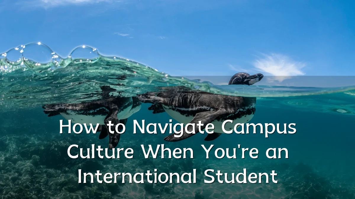 How to Navigate Campus Culture When You're an International Student