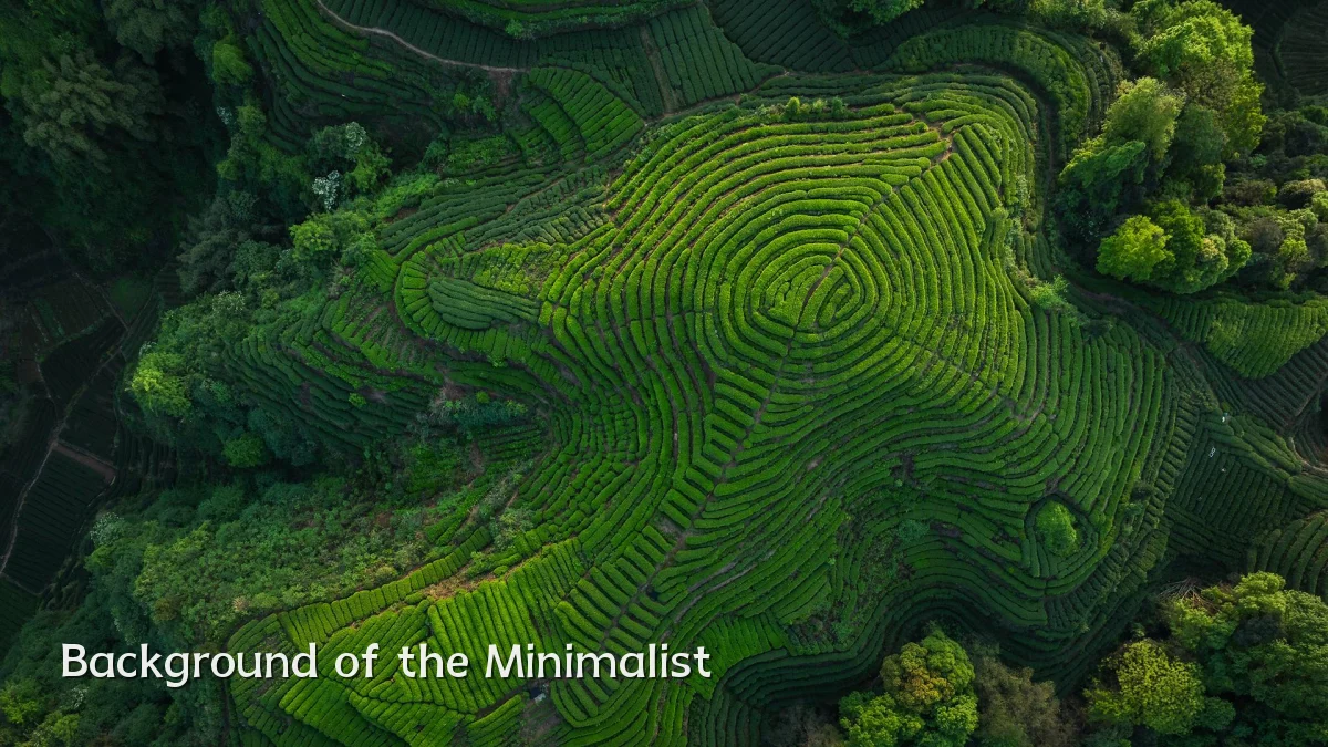 Background of the Minimalist