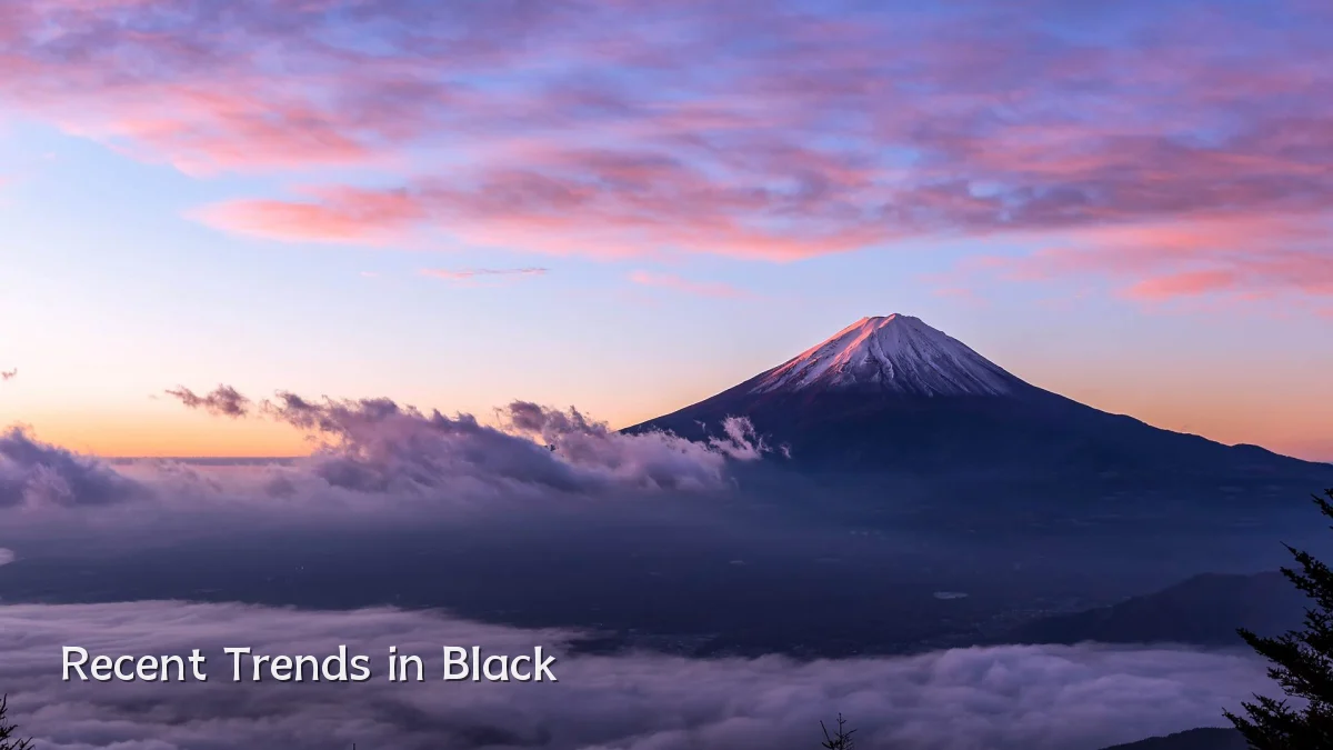 Recent Trends in Black