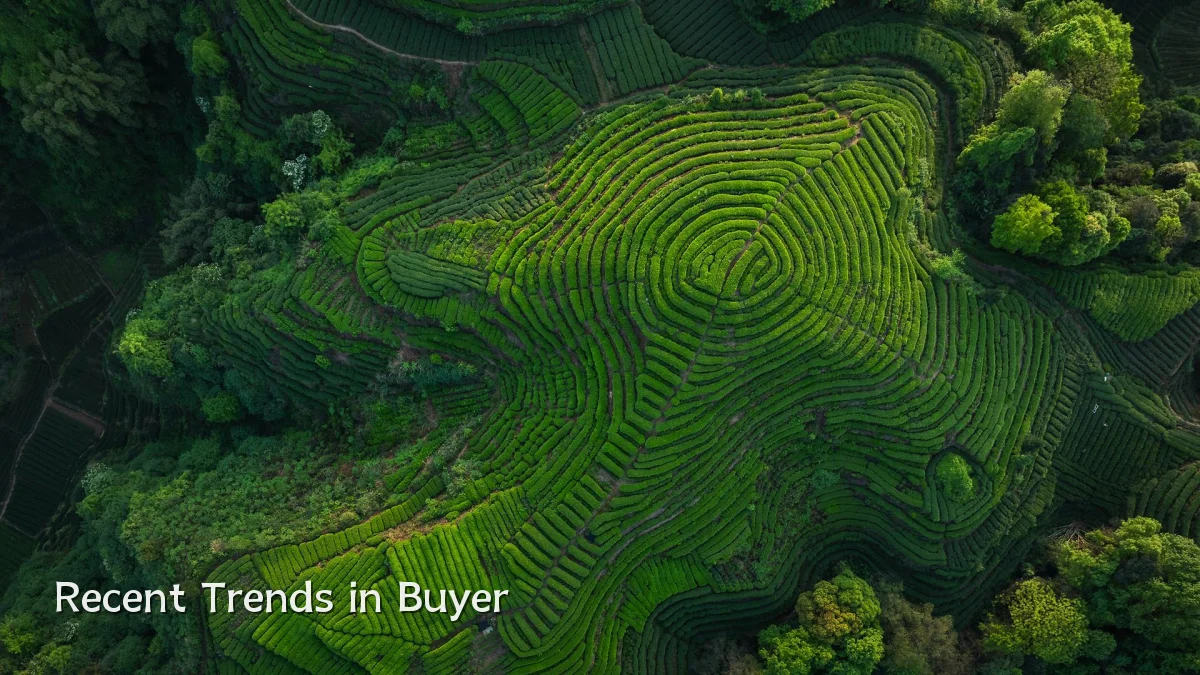 Recent Trends in Buyer