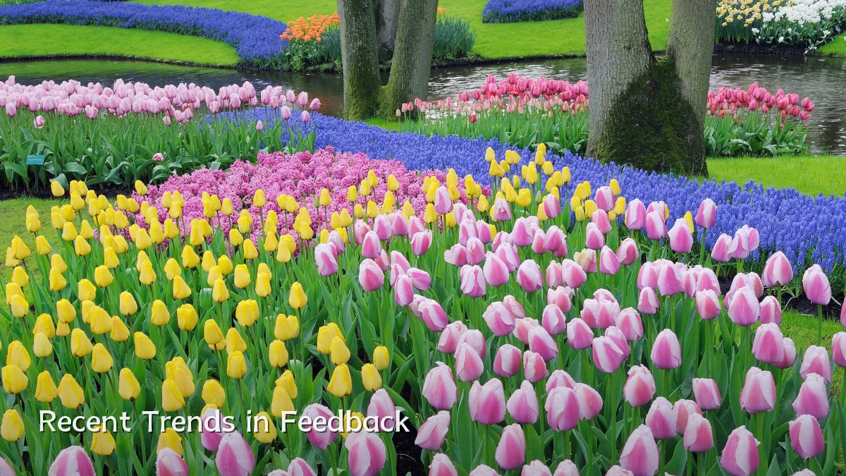 Recent Trends in Feedback