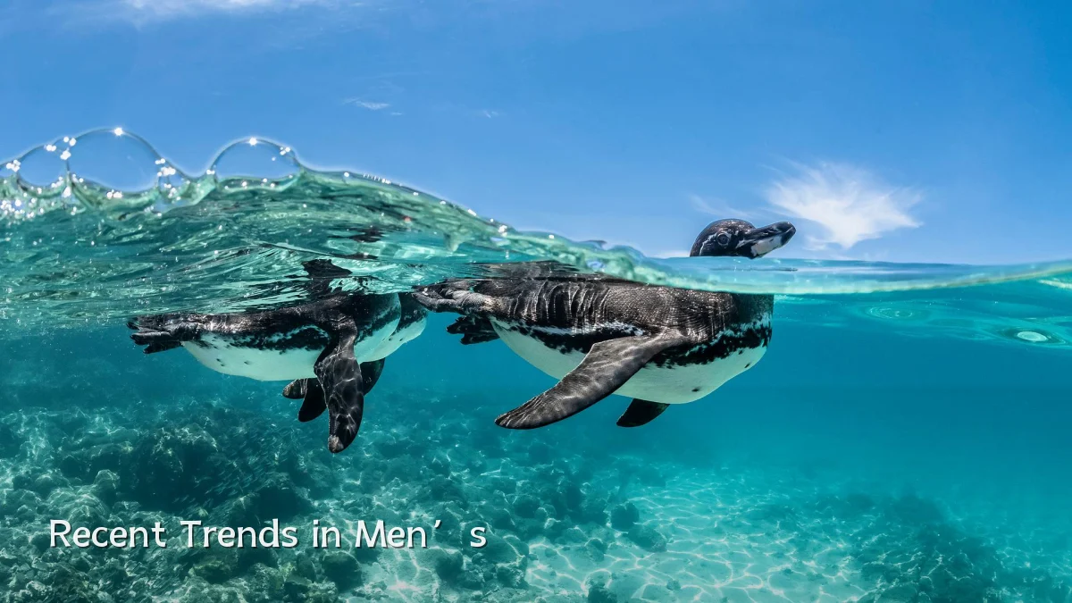 Recent Trends in Men’s