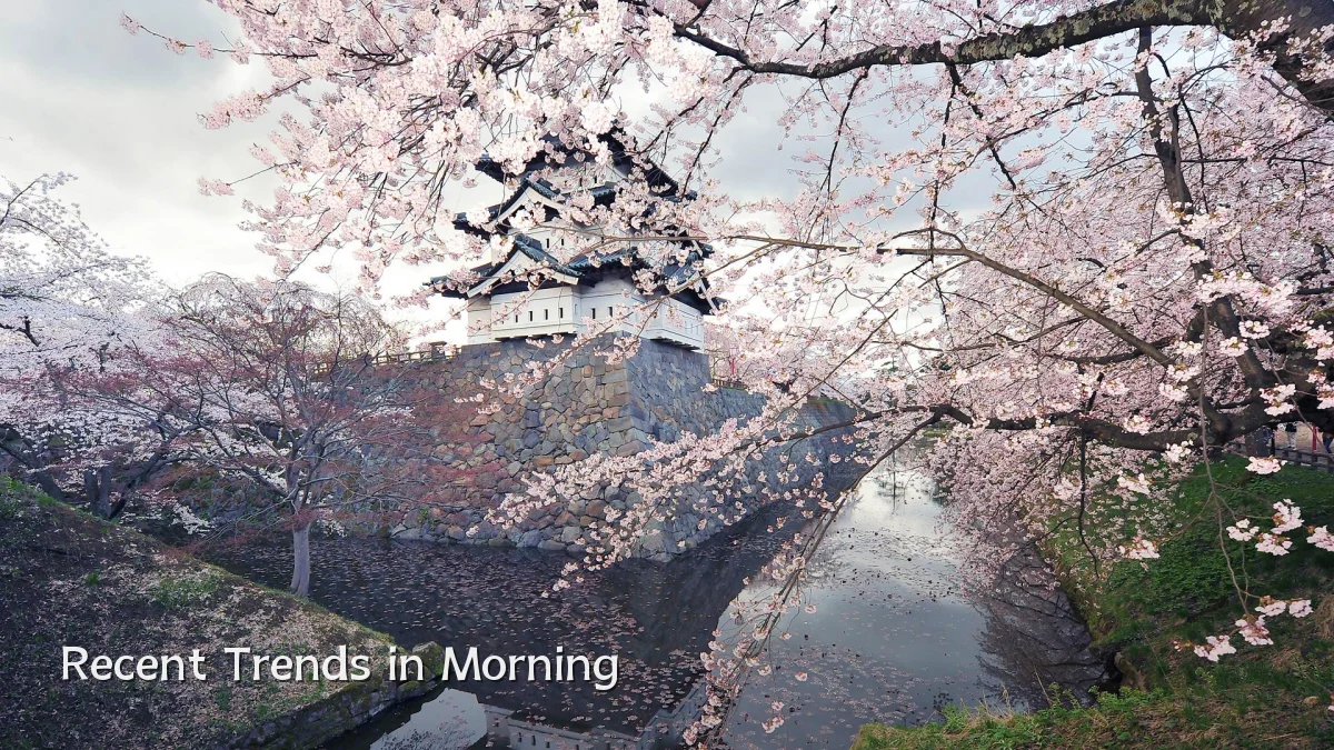 Recent Trends in Morning