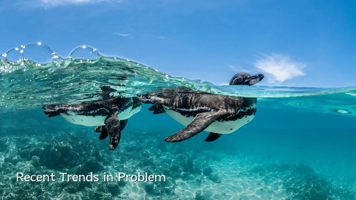 Recent Trends in Problem