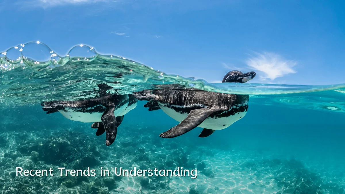 Recent Trends in Understanding