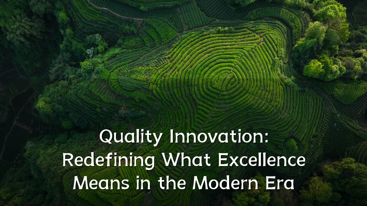 Quality Innovation: Redefining What Excellence Means in the Modern Era