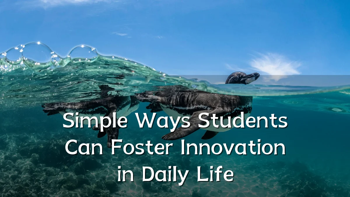 Simple Ways Students Can Foster Innovation in Daily Life