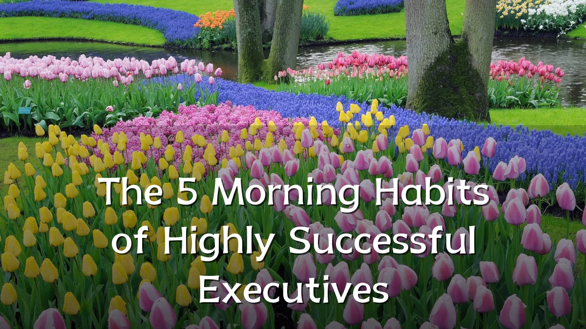 The 5 Morning Habits of Highly Successful Executives