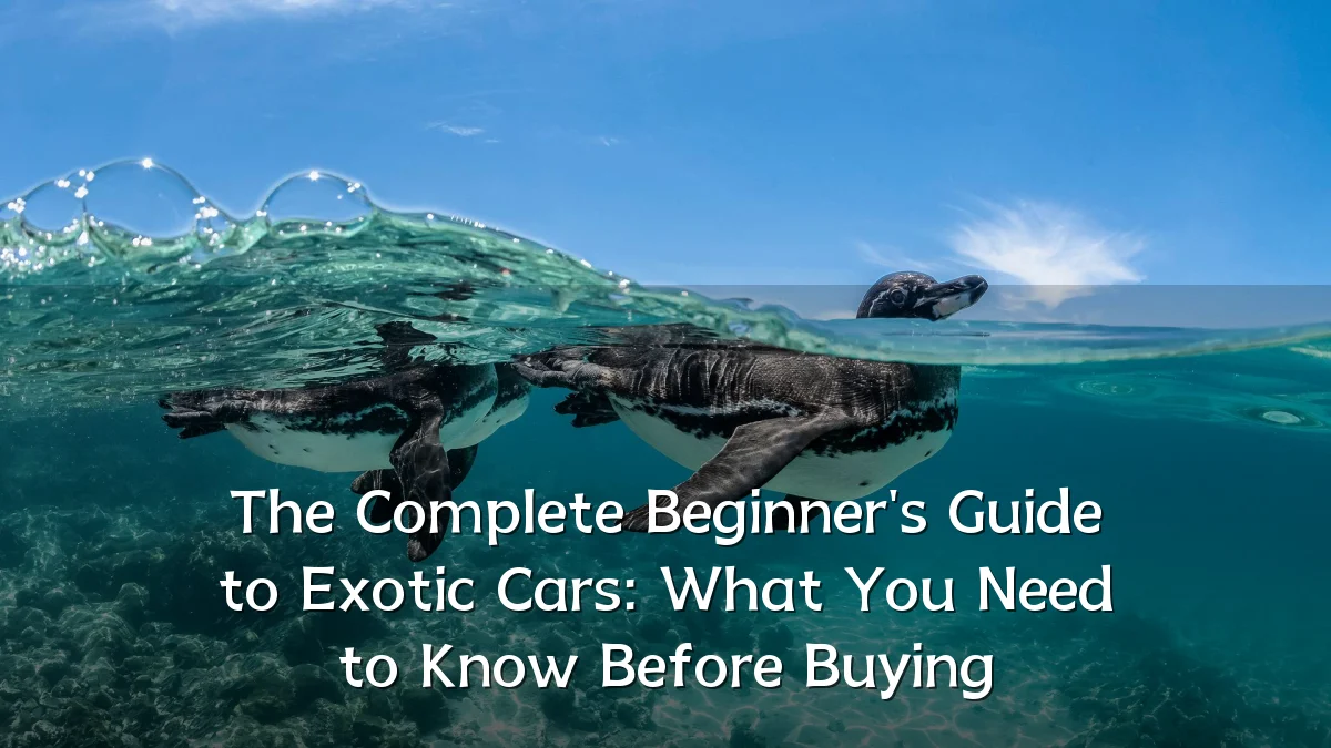 The Complete Beginner's Guide to Exotic Cars: What You Need to Know Before Buying