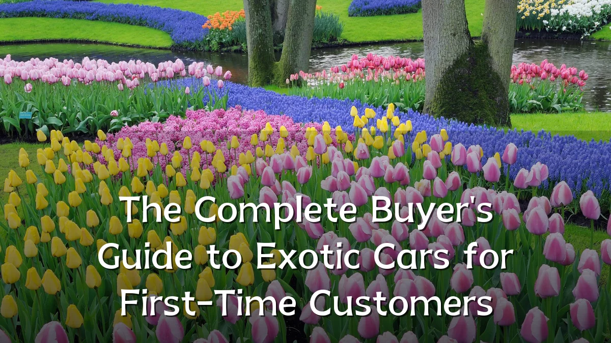 The Complete Buyer's Guide to Exotic Cars for First-Time Customers