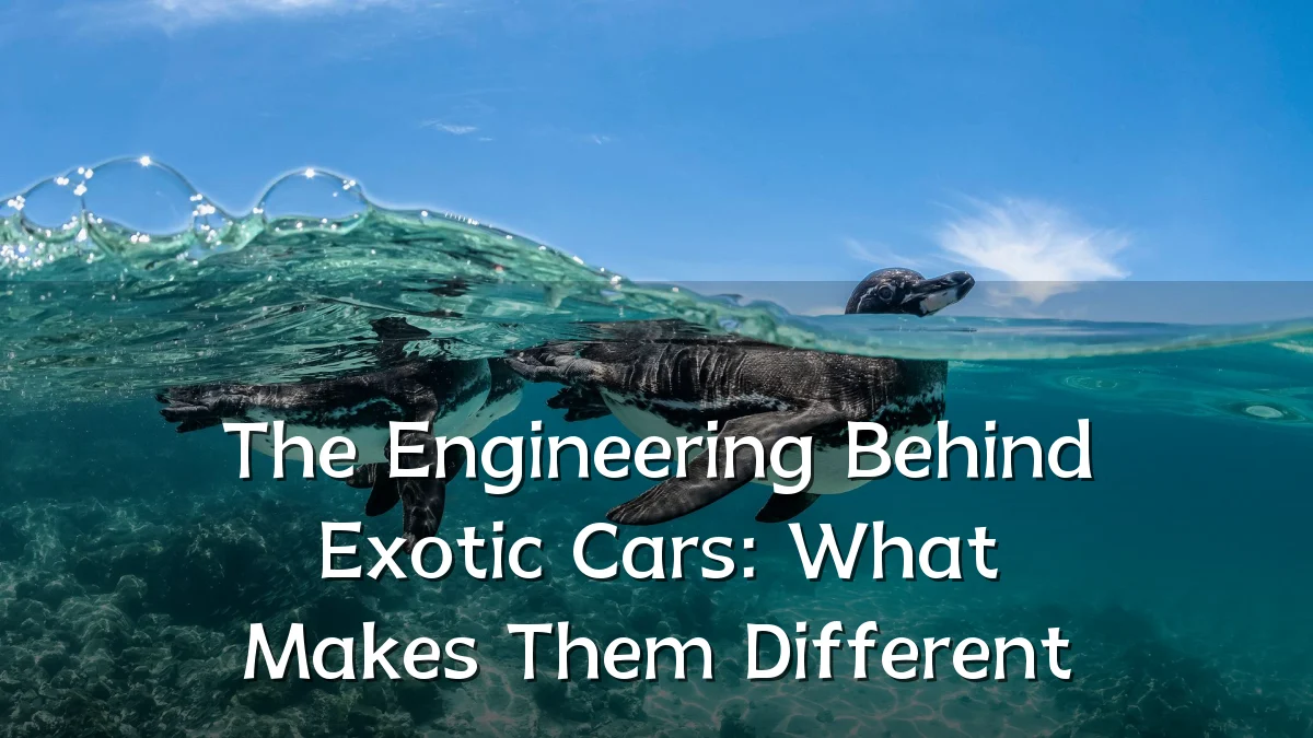 The Engineering Behind Exotic Cars: What Makes Them Different