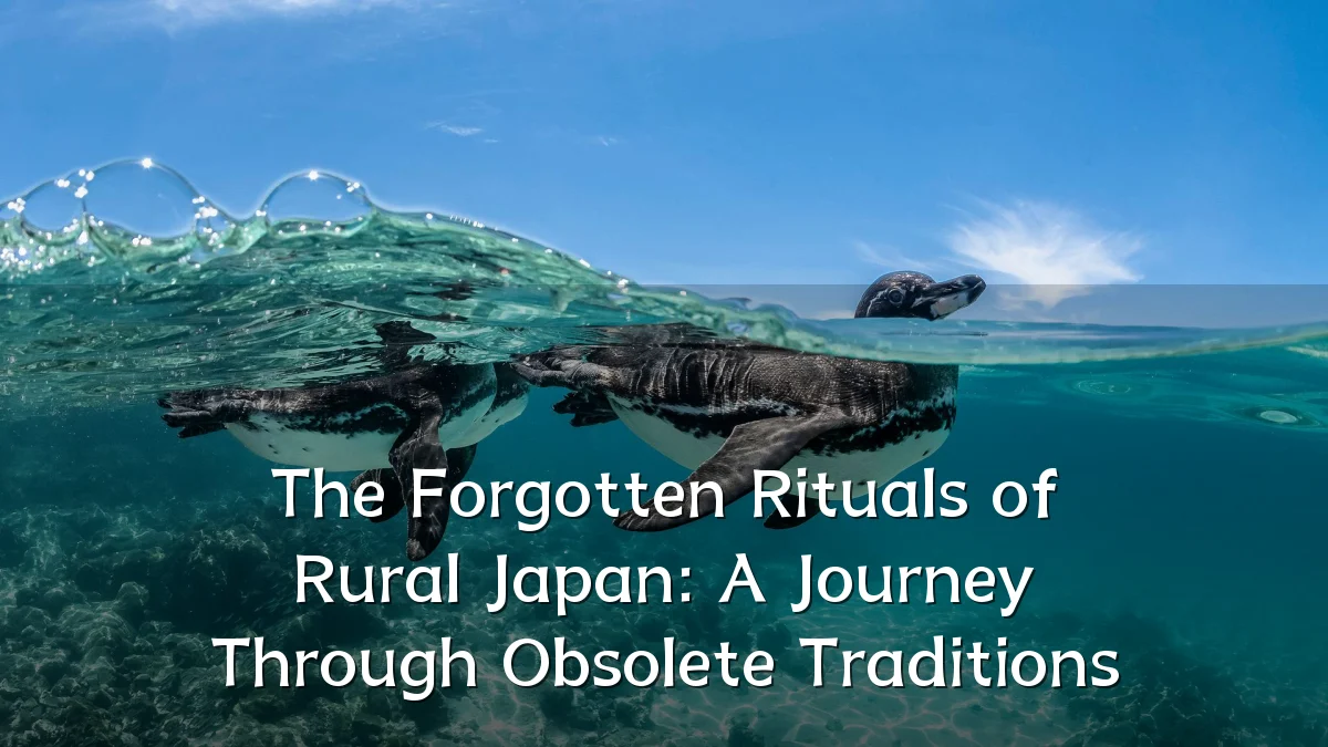 The Forgotten Rituals of Rural Japan: A Journey Through Obsolete Traditions