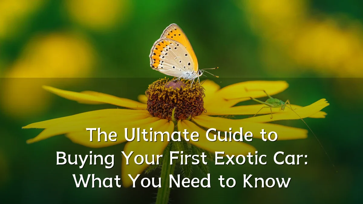 The Ultimate Guide to Buying Your First Exotic Car: What You Need to Know