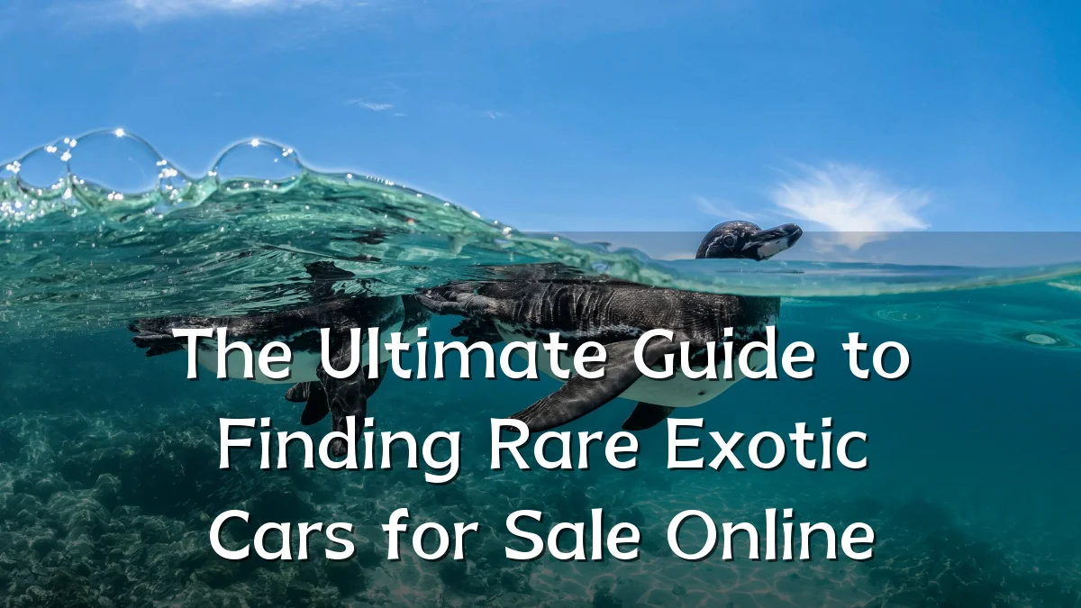 The Ultimate Guide to Finding Rare Exotic Cars for Sale Online