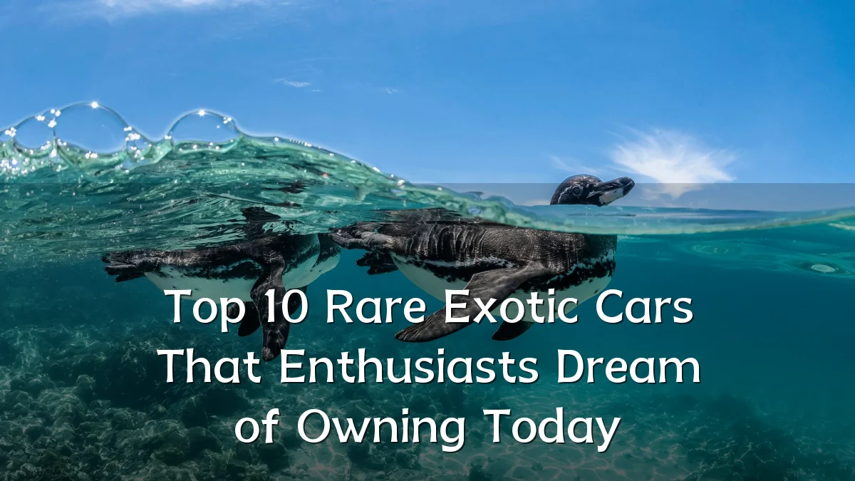 Top 10 Rare Exotic Cars That Enthusiasts Dream of Owning Today