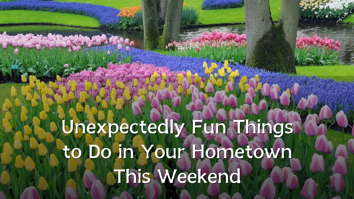 Unexpectedly Fun Things to Do in Your Hometown This Weekend