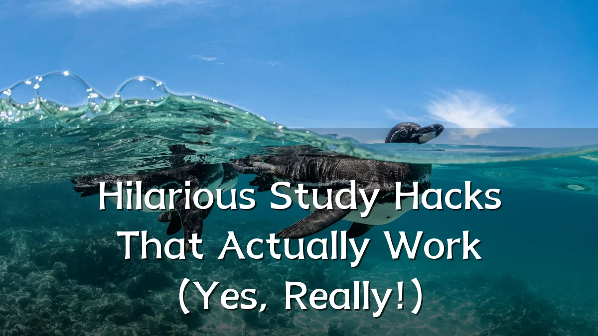 Hilarious Study Hacks That Actually Work (Yes, Really!)